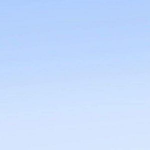 Meet your Posher, Joaquin